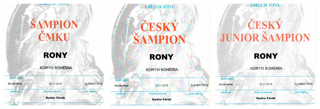 CHAMPION ČMKU,   CHAMPION CZE,   JUNIOR CHAMPION CZE
