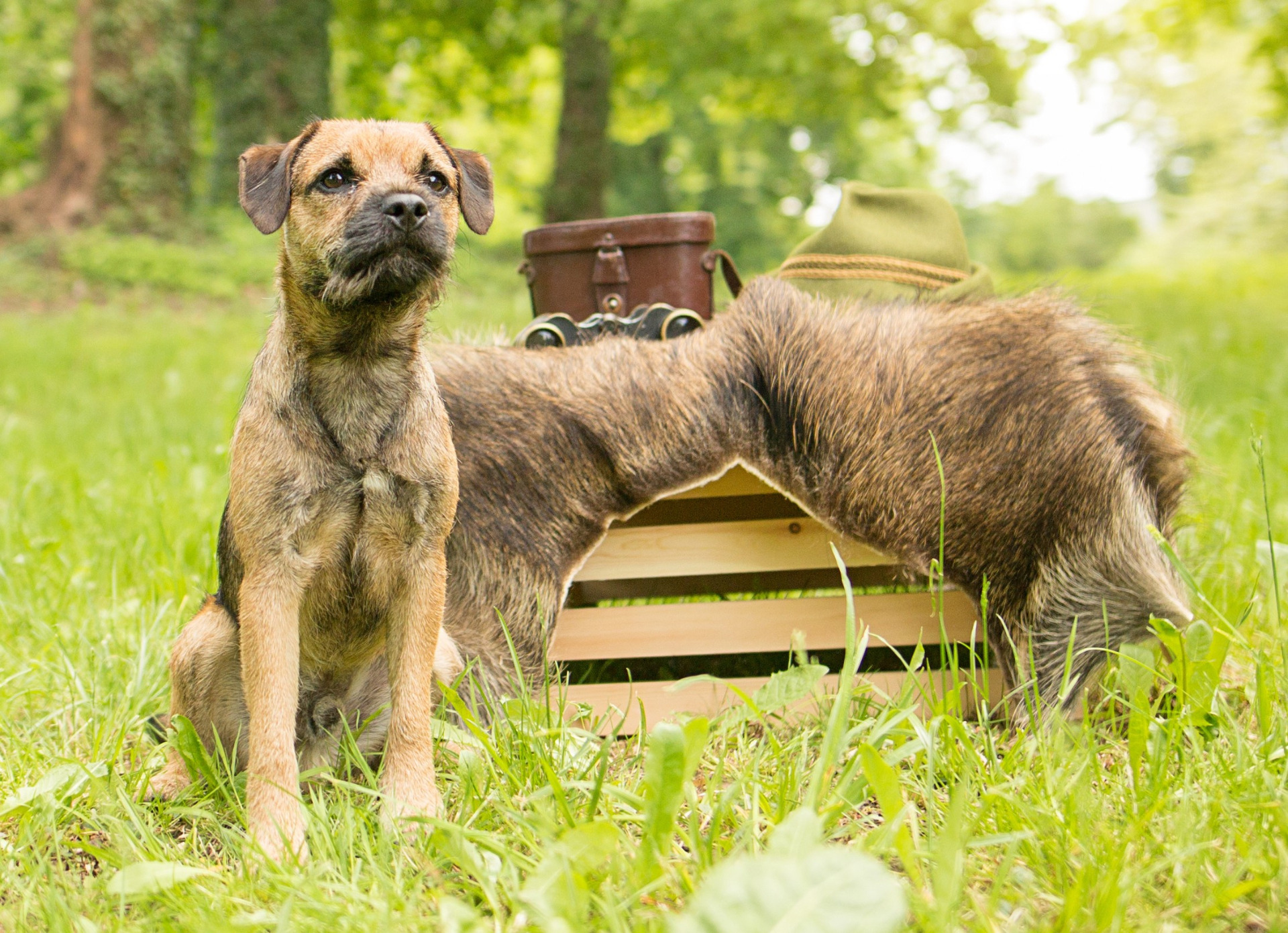 Dan z Andrejkinej chaty